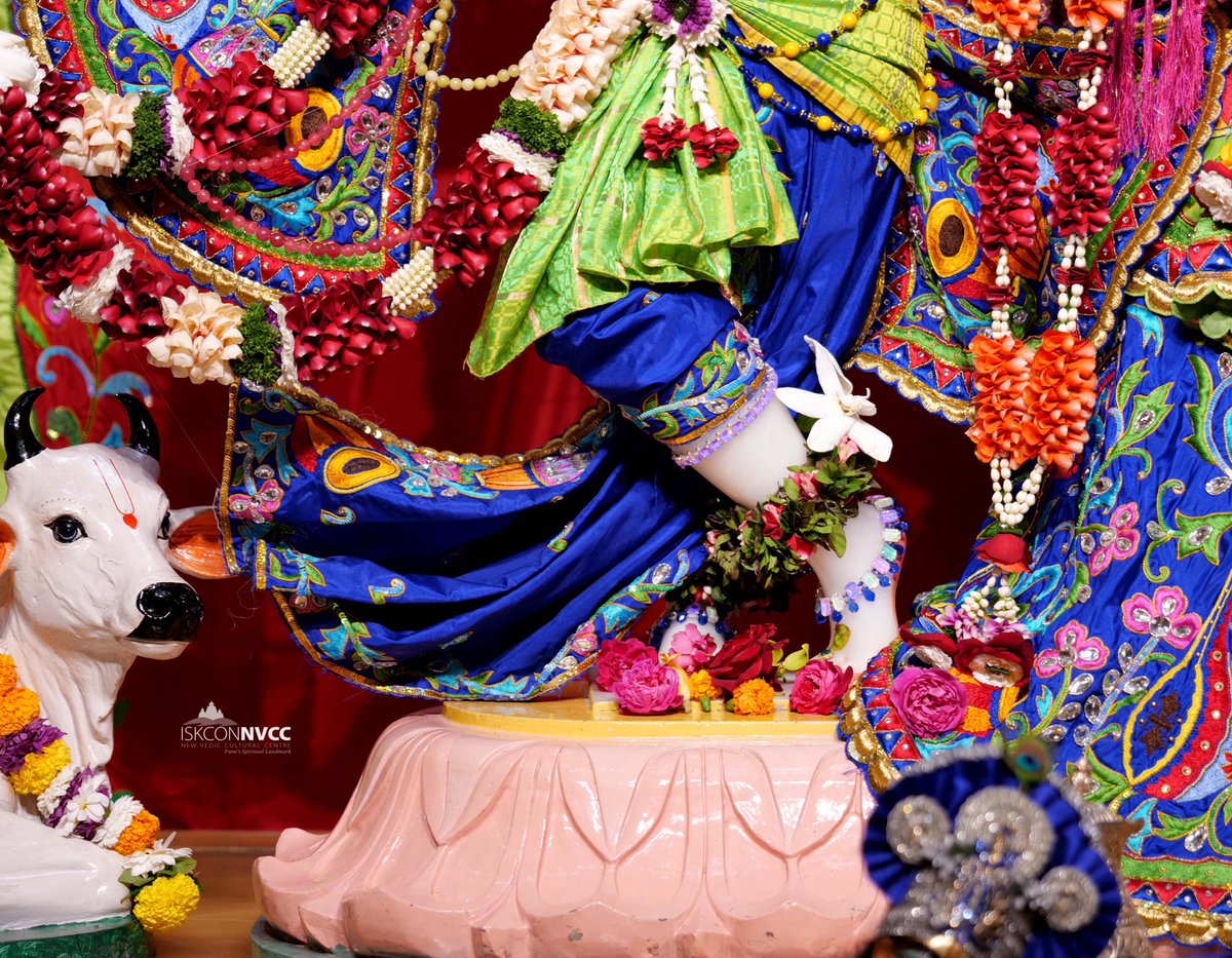 ISKCONPune's tweet photo. 🙏🏽Today's Darshan 📿 🗓28-01-2025🙏
🌷Sri Sri Radhavrindavanchandra🌷
🚩@ISKCONNVCCPune🚩
.
.
#ISKCONNVCC #ISKCONPune #ISKCONNVCCPune #ISKCON
#kumbhmela2025 #kumbhmela #Prayagraj
#PrayagrajMahakumbh2025 #28thjanuary #28thjanuary2025
#Tuesday #Harinaamsankirtan #Radheshyamdas https://t.co/qMz1MfVRYu