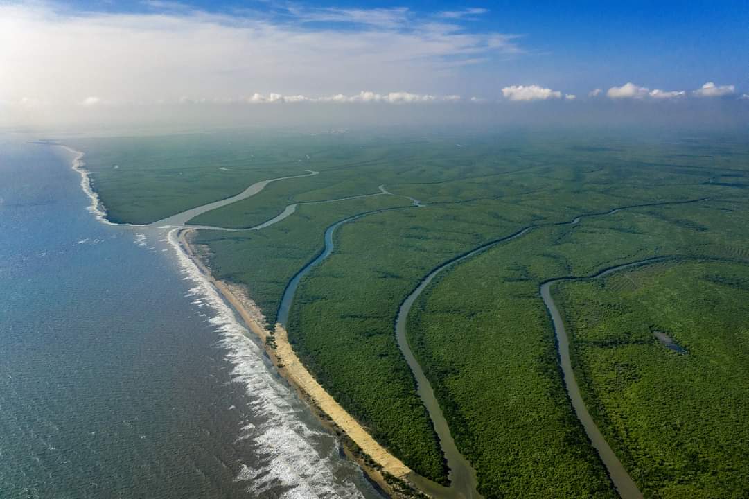 introvert123_'s tweet photo. Check out the aerial views of:
1: Goa ❌ Vizag ✅
2:kerala ❌ Konaseema ✅ 
3: Amazon ❌ Coringa wildlife ✅ 
4: Lakshadweep ❌ Hope island ✅ 

Andhra Pradesh is having many natural landscapes famous around the world... government should promote these

 #kakinadadeservesairport https://t.co/m0xbjqR8bp