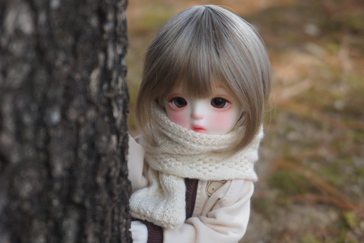 #탐라_너머_자주_봤는데_트친하고_싶다_지금이_기회

주로 이런 사진을 찍곤 합니다
흔적 남겨주시면 몇 분 무멘팔 드리도록 하겠습니다