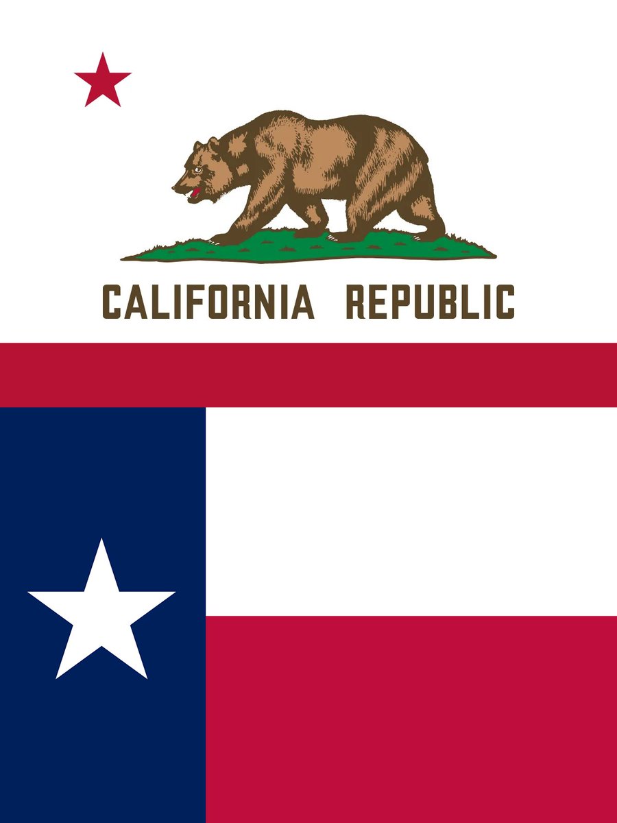 AmericanaAesth's tweet photo. The bear on the Californian flag, and the lone star on the Texan flag, symbolizes that we are not Mexican.

Both of these states exist out of the desire to be free from a foreign oppressor. Allowing illegals carrying foreign flags to stay in our country trashes the sacrifice of brave men like that of the Alamo.