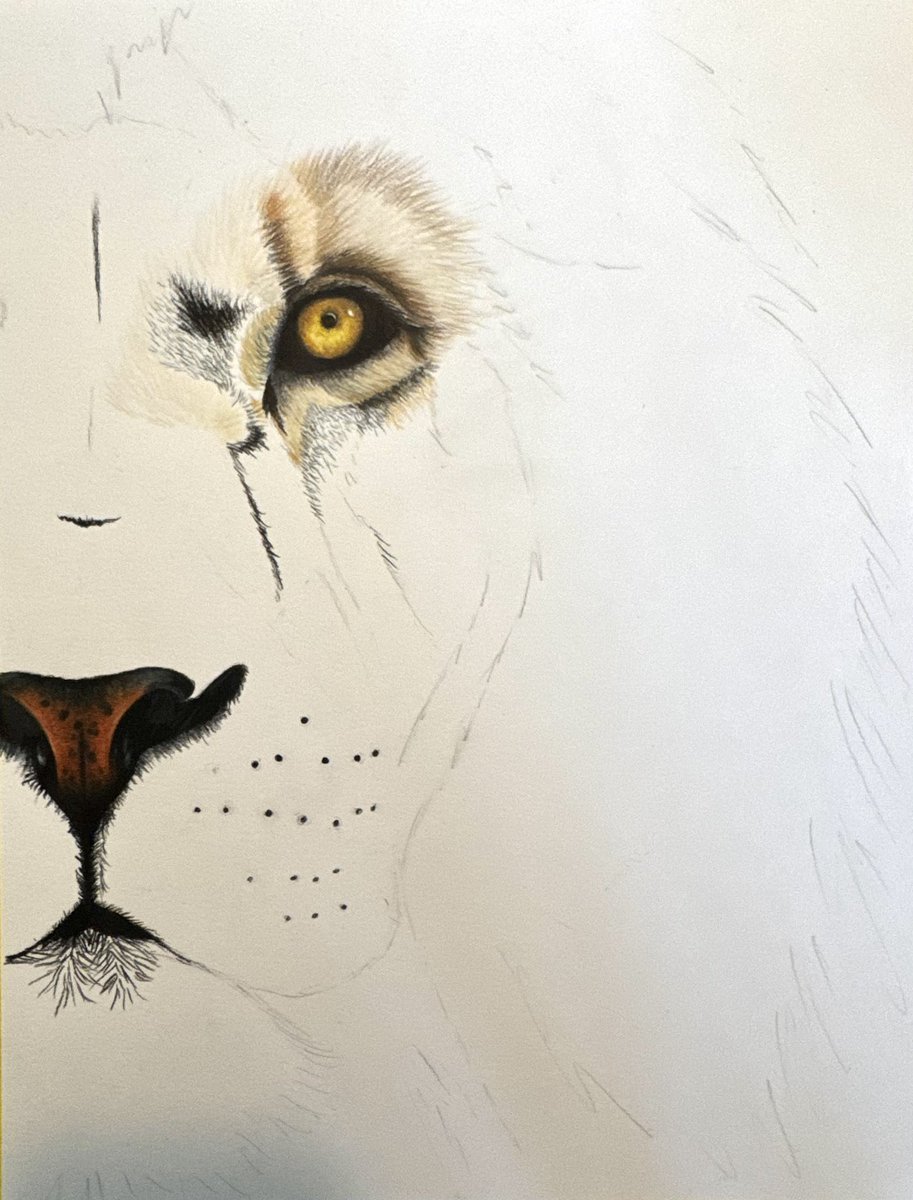 Proof of progress. It’s slow but going!