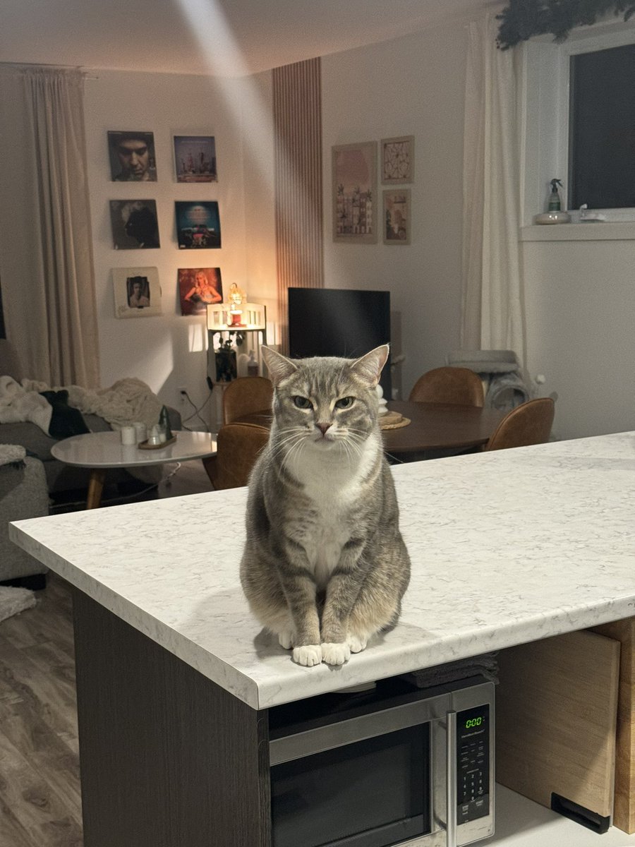 caro ✨ tweet media