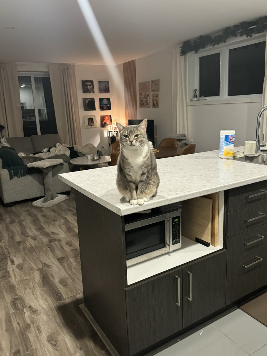 caro ✨ tweet media