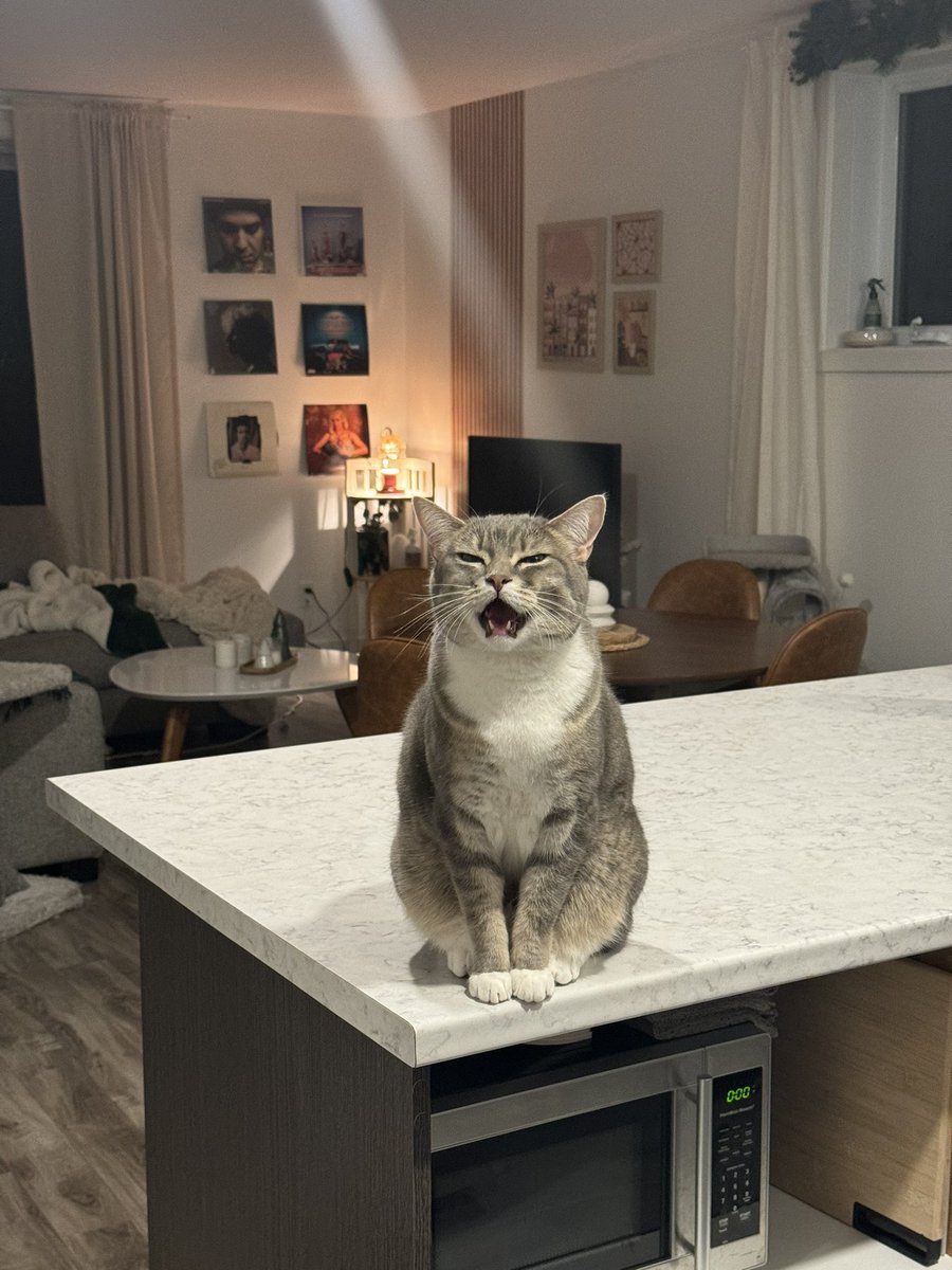 caro ✨ tweet media