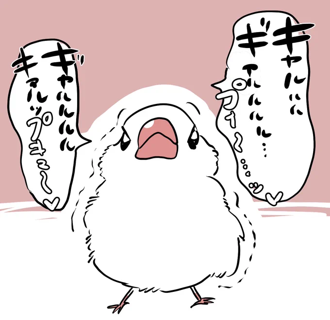 キレてるけど語尾が甘い #日記 #文鳥 