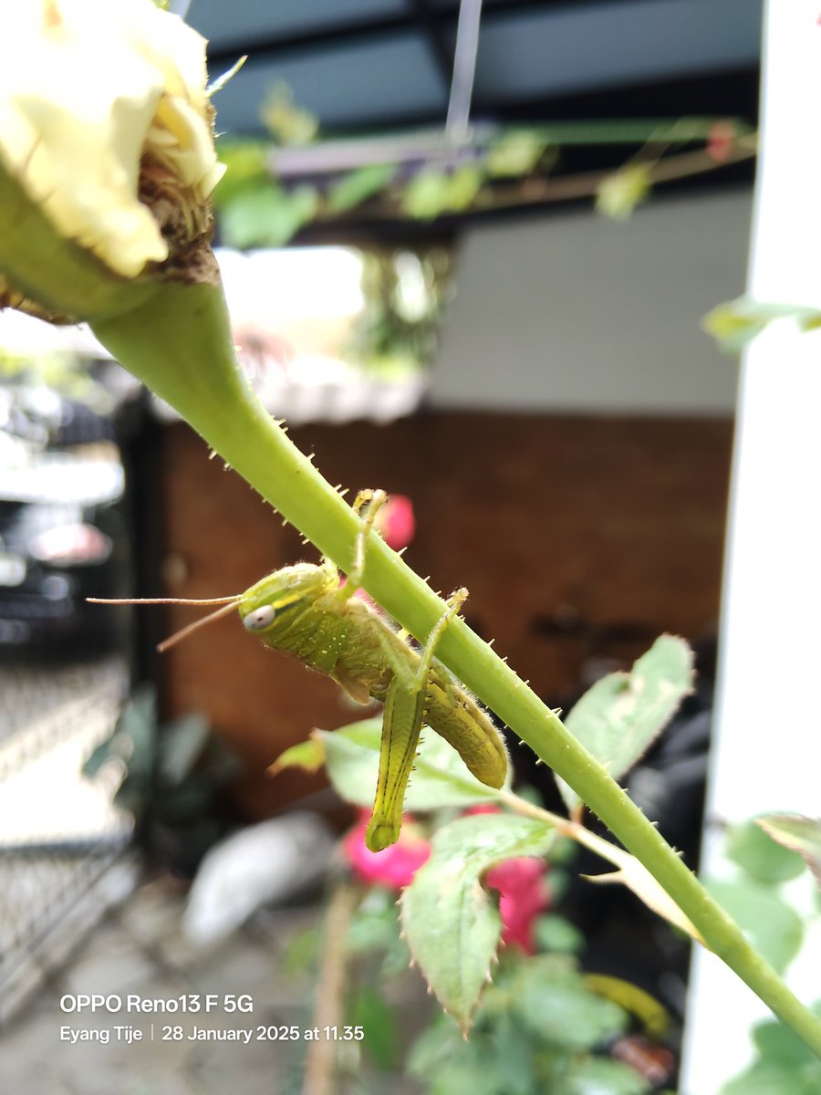 Lumayan buat makan siang ...