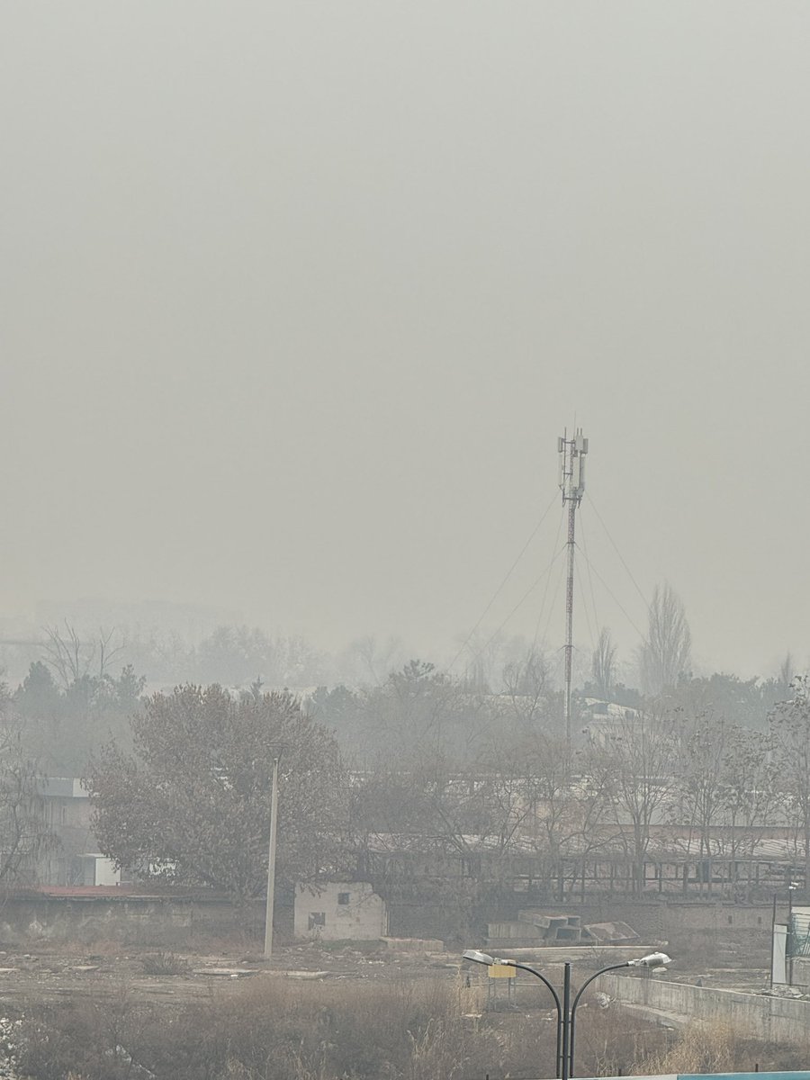 Shu paytgacha "surish kerak" degan iborani unchalik jiddiy qabul qilmagan ekanman...