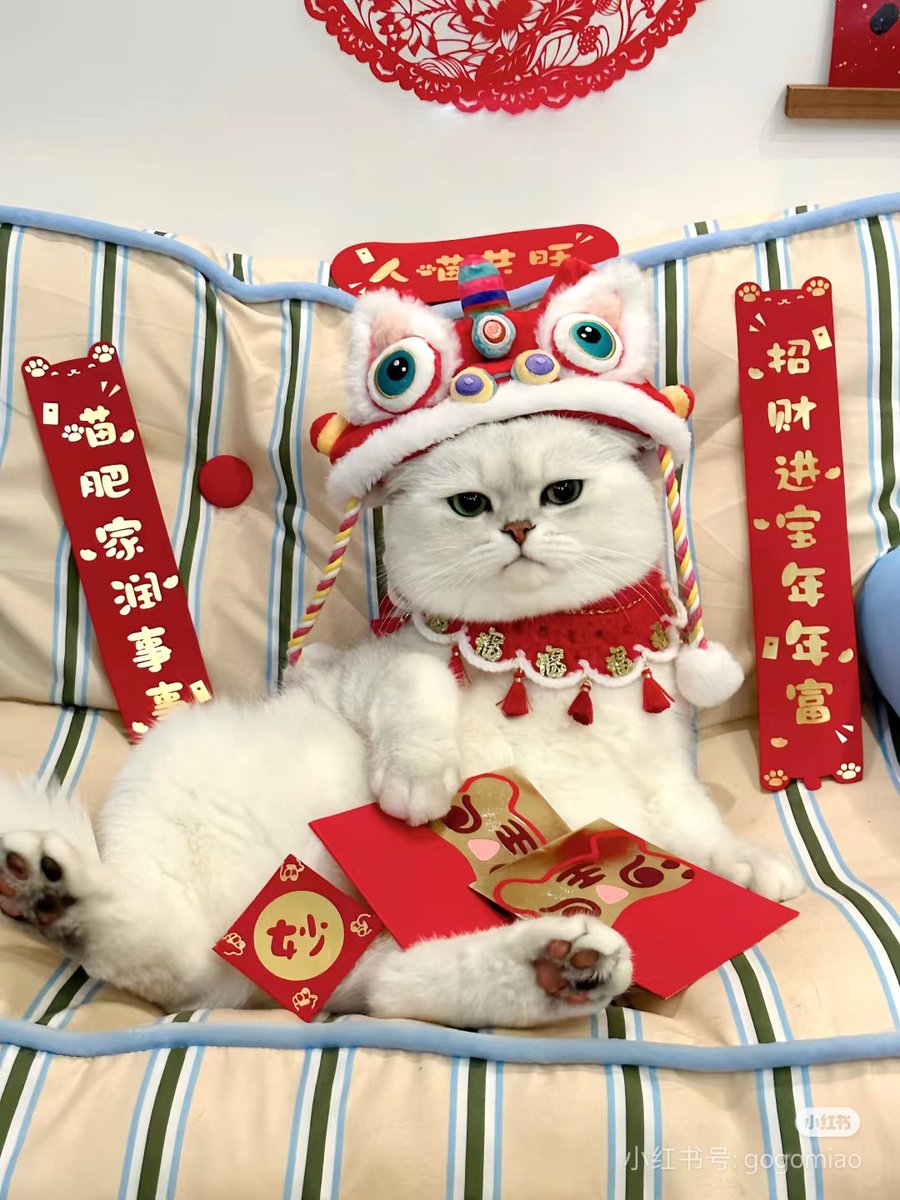 ได้ซองแดงยัง🧧🧧🧧