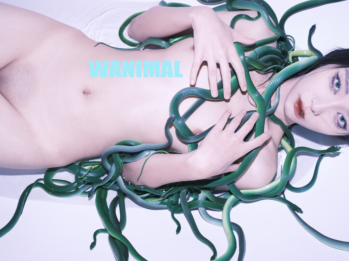 WANIMAL ART 交流群

月費105 
年費1050 

確認加群的回復 1

WANIMAL MATE
kk https://t.co/BjpOMeAlyj