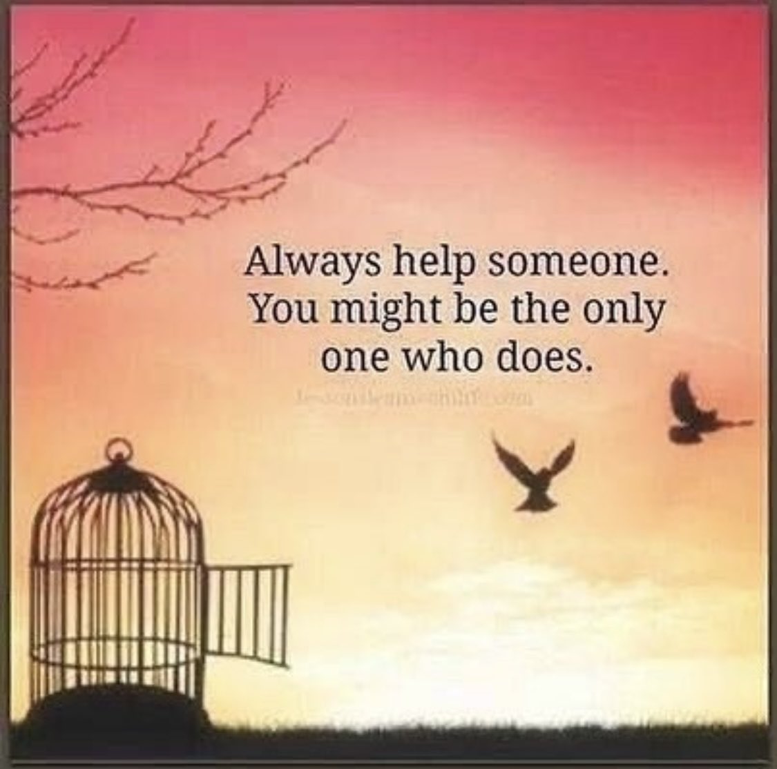 Healed by Compassion (@compassion_heal) on Twitter photo 