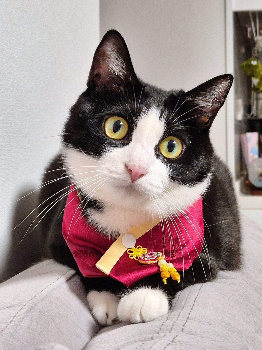 웅니오빠들 새해 복 많이 받으세용