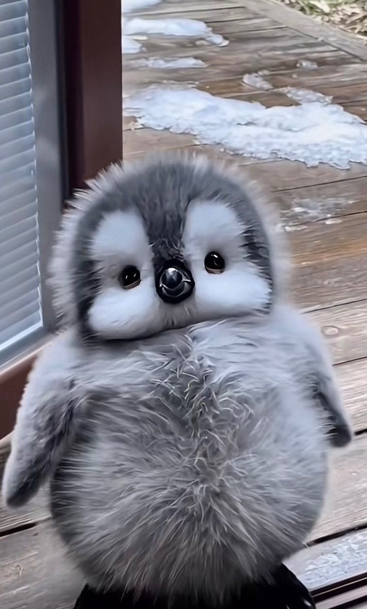 BBPENGU-AI tweet media