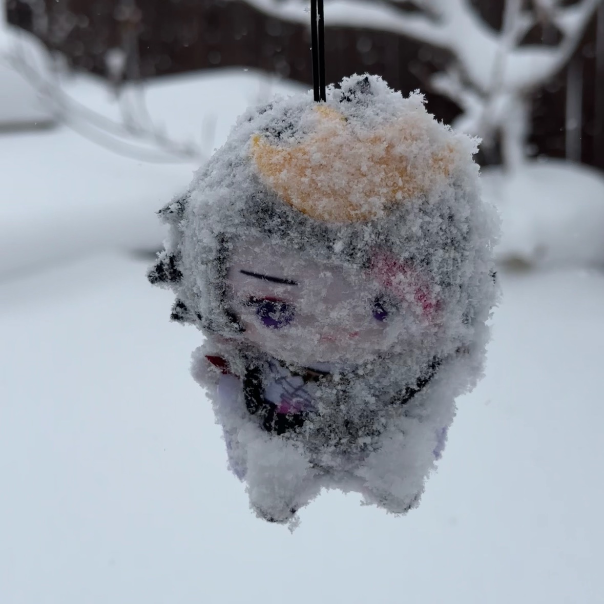 kyu_uu_uu_'s tweet photo. 写真撮ろうとしたのに落としちゃって....
でも雪たくさんみれてhappi wwww
#ShuYamino https://t.co/mEltJUEv24