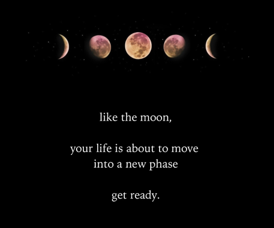 Druidshaven's tweet photo. Like the moon, your life is about to enter a new phase. Embrace the change, trust the process, and prepare for what’s to come. 🌙✨#MoonPhases #NewBeginnings #Transformation #SpiritualJourney #Manifestation #ChangeIsBeautiful #TrustTheProcess #LunarEnergy https://t.co/nqqLnYs6VB