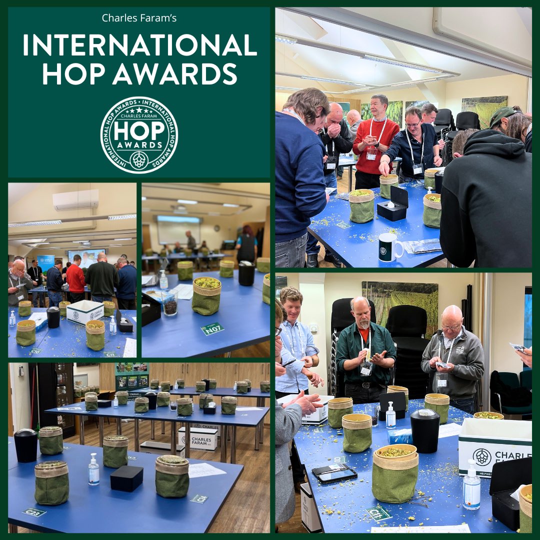 We had a brilliant time at our annual International Hop Awards! 🌿✨

Rubbing, sniffing and judging an excellent mix of Commercial, Early (small plot stage) and New varieties (one plant) 🌱... we cannot wait to share the results! Stay tuned 👀

#IHA #InternationalHopAwards