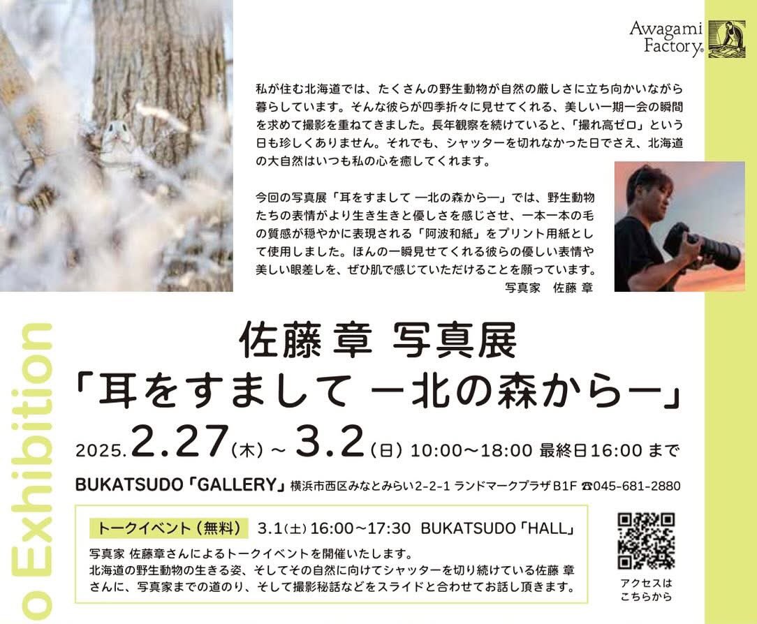 akirasato1019's tweet photo. 【写真展のご案内】
この度、アワガミファクトリー様全面プロデュースの元、横浜・みなとみらいにて写真展を開催する運びとなりました。会期は2/27（木）〜3/2（日）の日程になります。

今回の写真展は、徳島の阿波和紙製品を取り扱っているアワガミファクトリー様 @AwagamiFactory のAIJP（アワガミインクジェットペーパー）のプロモーションイベントの一環として開催します。私のギャラリーではAIJP（和紙）を使った北海道のもふもふ作品を展示いたします。展示予定の作品数は約30点ちょっとになります。

会期中はAIJPプリント体験会も開催されます。さらにトークイベントも予定しておりますので、ぜひお立ち寄りください🙇

◯写真展（無料）
2/27（木）〜3/2（日）
10:00-18:00（最終日 16時）
BUKATSUDO 「GALLERY」

横浜市西区みなとみらい2-2-1
ランドマークプラザB1F
045-681-2880

◯トークイベント（無料）
3/1（土）16:00-17:30
BUKATSUDO 「 HALL」

拡散してくださると助かります🙏
どうぞよろしくお願いします🙇