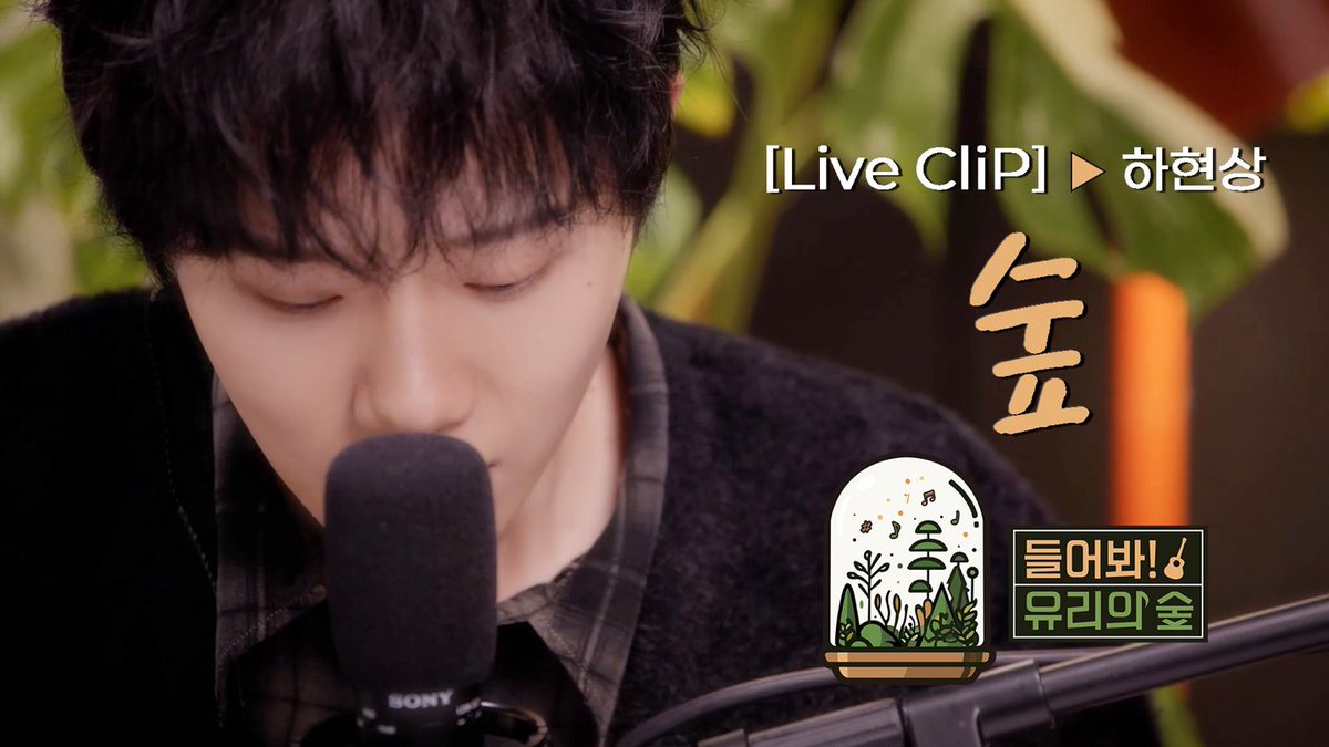 hahyunsang_twt's tweet photo. [선공개 LIVE] 하현상 - 숲 | 들어봐! 유리의 숲 EP.04 하현상 [EN/JP] 

📍https://t.co/q2XTsUOsEc

#하현상 #Hahyunsang https://t.co/InS2Ct3PBm
