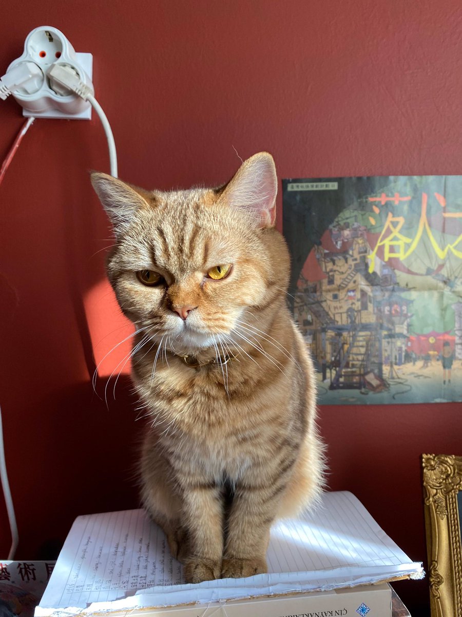 sagima bakiorum salak soluma bakiorum yine slak cok yoruldum bu evden