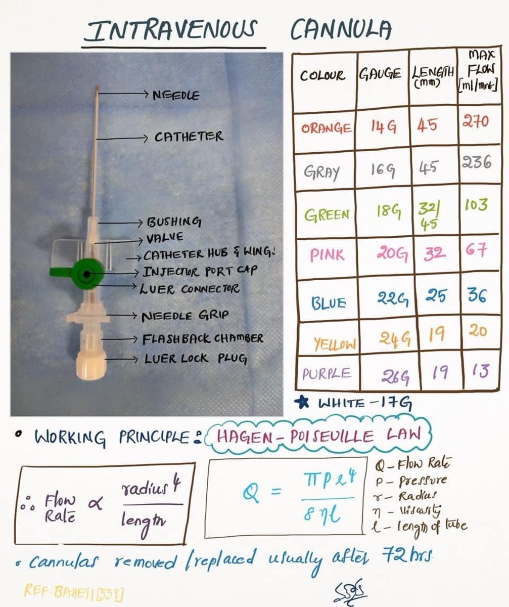 IV Cannula by anesthesia flash cards