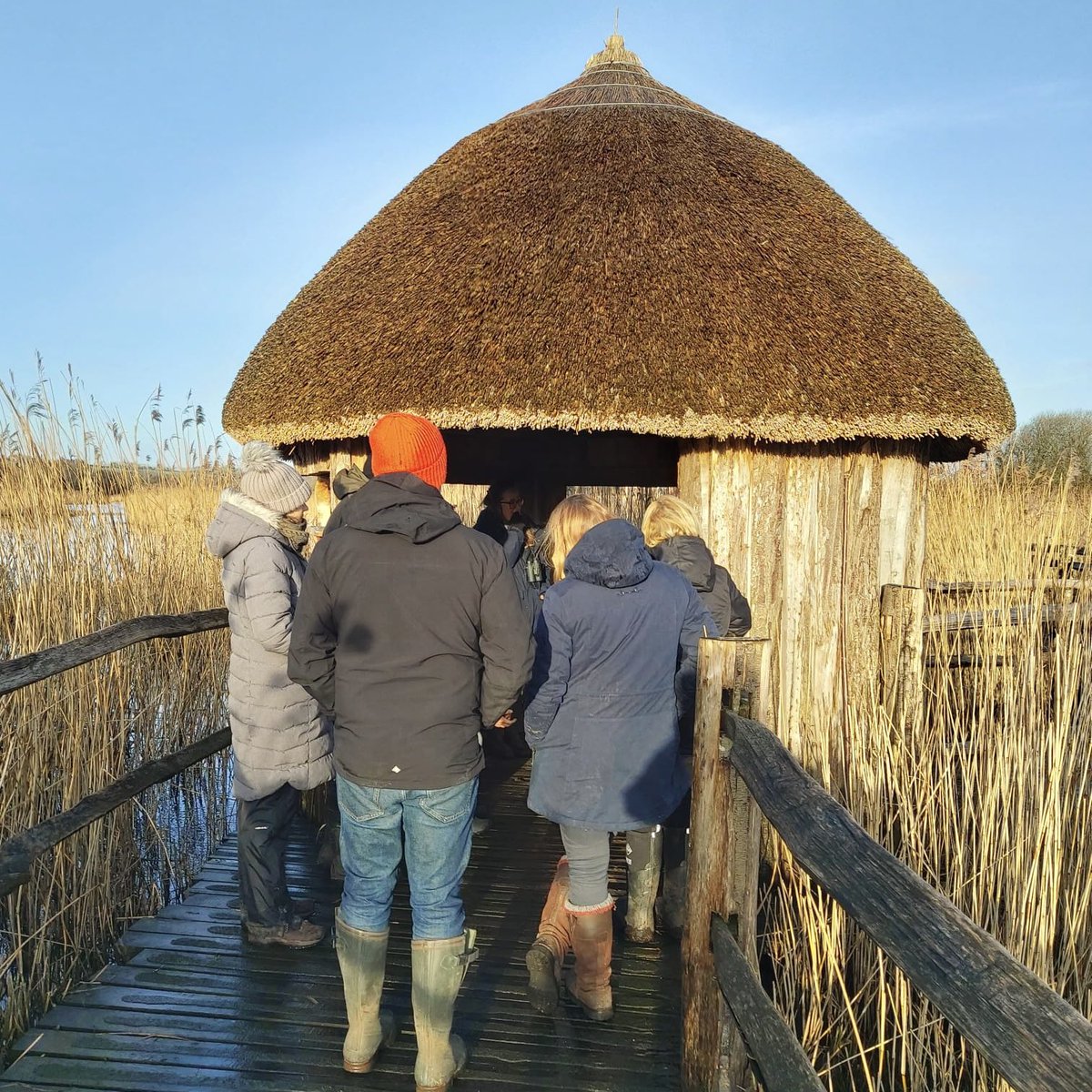 SWTConsultancy's tweet image. We were delighted to meet up with the @SomersetWT team at Westhay Moor National Nature Reserve last week for a day of skill sharing and development! 🙌

#Westhay #Ecology #LandManagement