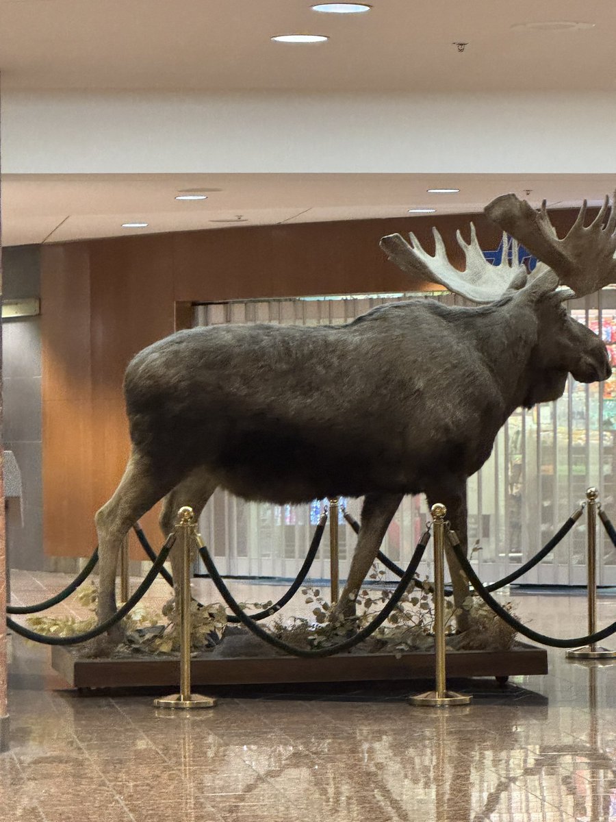 LightnerTim's tweet photo. Leaving Anchorage to Portland and then Washington DC for the 2025 @NCSEA1  Policy Forum and Board meeting. https://t.co/BRjabM6Z6b
