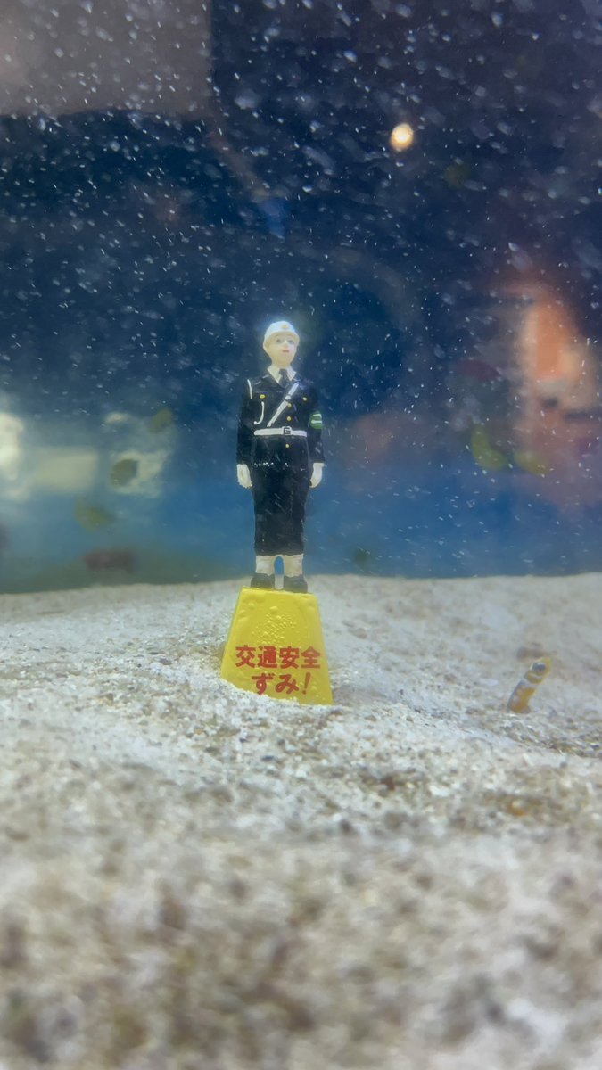 miiko_cola's tweet photo. 3年半ぶりに宮古島へ🏝️
光り輝く宮古ブルーに感動☺️🩵
大自然で時間を過ごしてたら
目も心も体も癒された〜🫶🏻
花粉のない空間は最高だーい！
#宮古島 #宮古ブルー #沖縄 #まも活 https://t.co/QOIzjDEezO