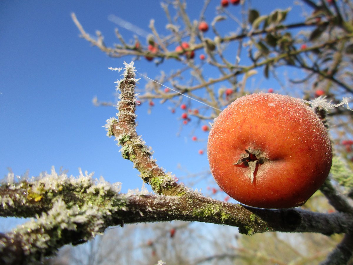 Uckermark_tmu's tweet photo. Am 02.02. lädt das NABU-Naturerlebniszentrum Blumberger Mühle ein zum Familientag "Die Natur im Winterschlaf". Start: 10 Uhr. Anmeldung bis 31.01. 📞 03331/26040
https://t.co/gWixi8bAzx
#Uckermark_erleben #Familientag https://t.co/81m24n2HFk