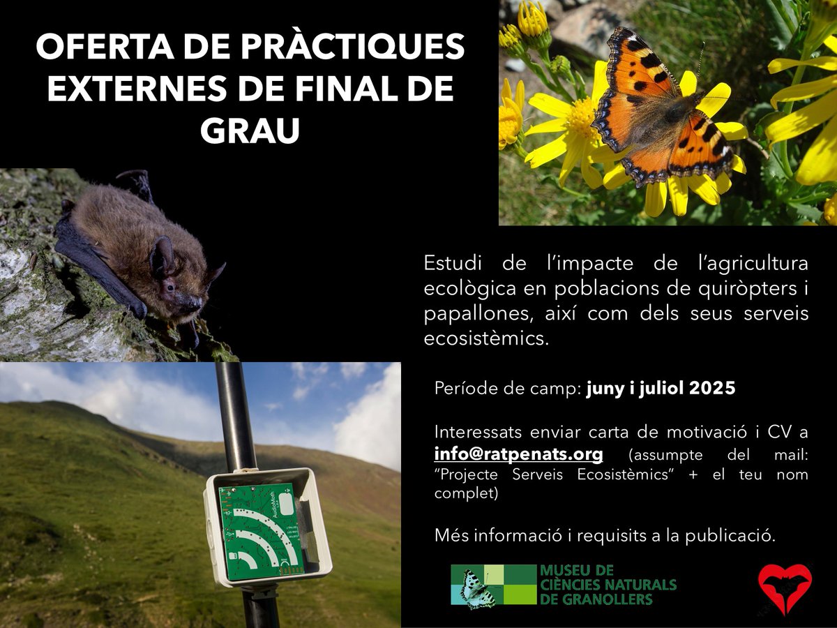 OFERTA DE PRÀCTIQUES PER ESTUDIANTS (I)📷📷
Busquem una/un estudiant interessat en realitzar pràctiques en un projecte multidisciplinar sobre serveis ecosistèmics i agricultura. Aquest estudi s'està desenvolupant en plantacions de tomàquet a Badajoz (Extremadura)...