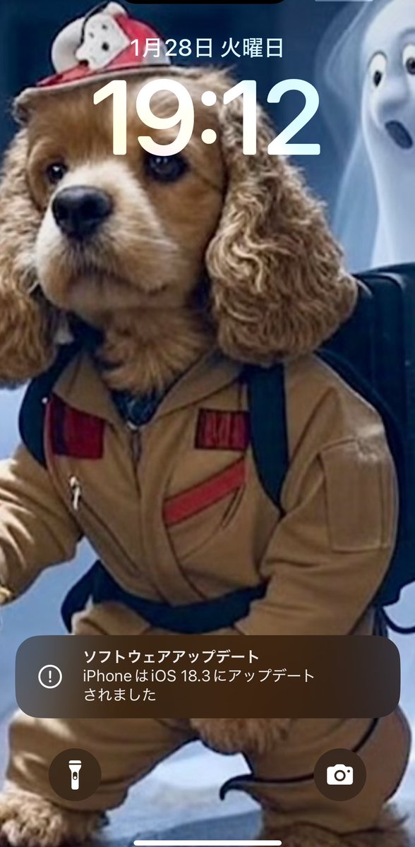 OriPi_OnlyP's tweet image. #iOS183 アプデあります📱