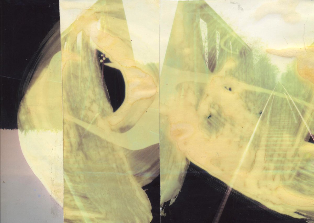 #landscape #collage

#art  #sketches #abstract #abstractart #painting #painter #contemporaryart #artwork #artist #ArtistOnTwitter #artshare #sztuka  #painter #contemporaryartist #photography #photographer