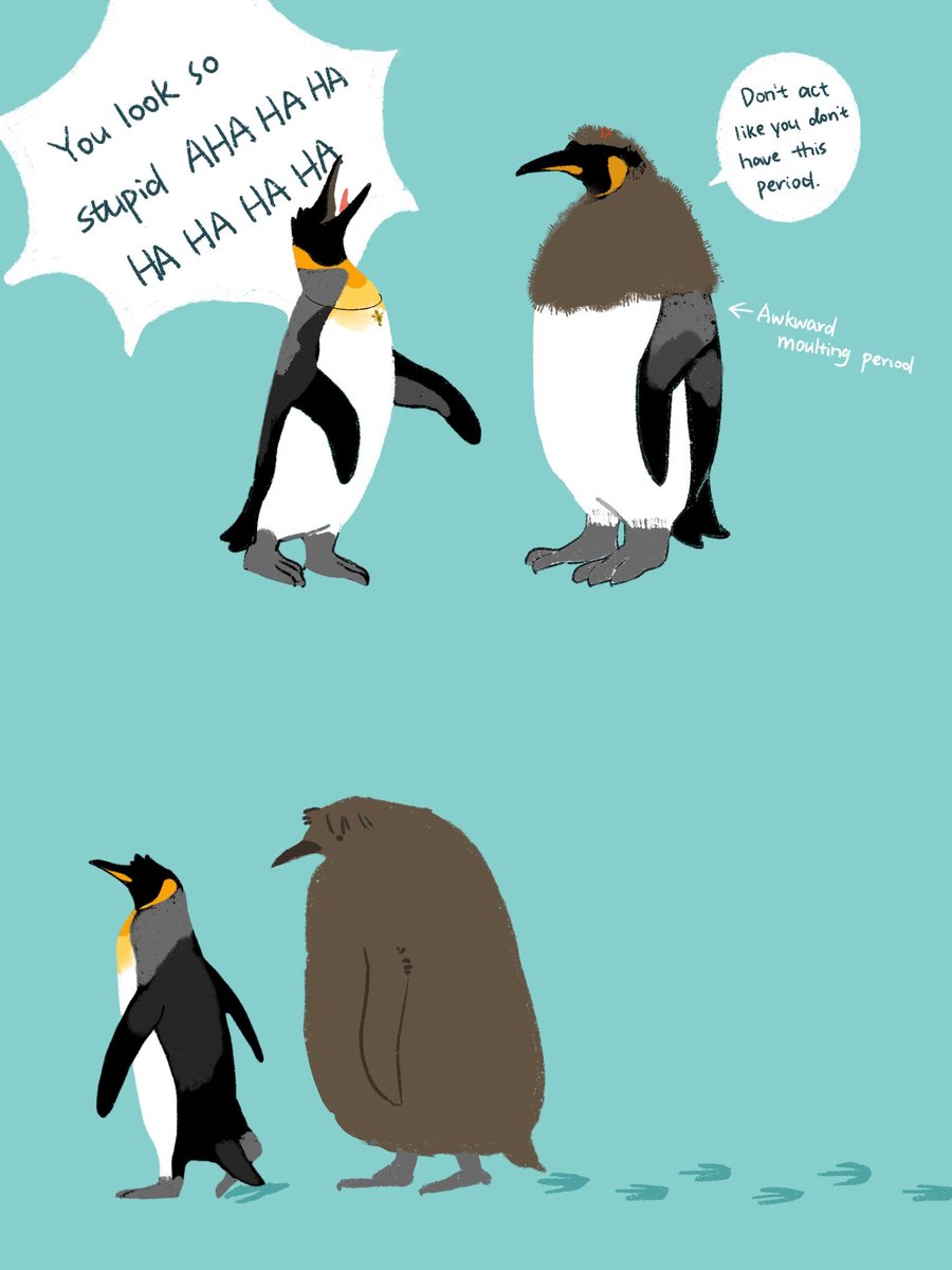 tinshyn1's tweet image. King penguin Winchesters