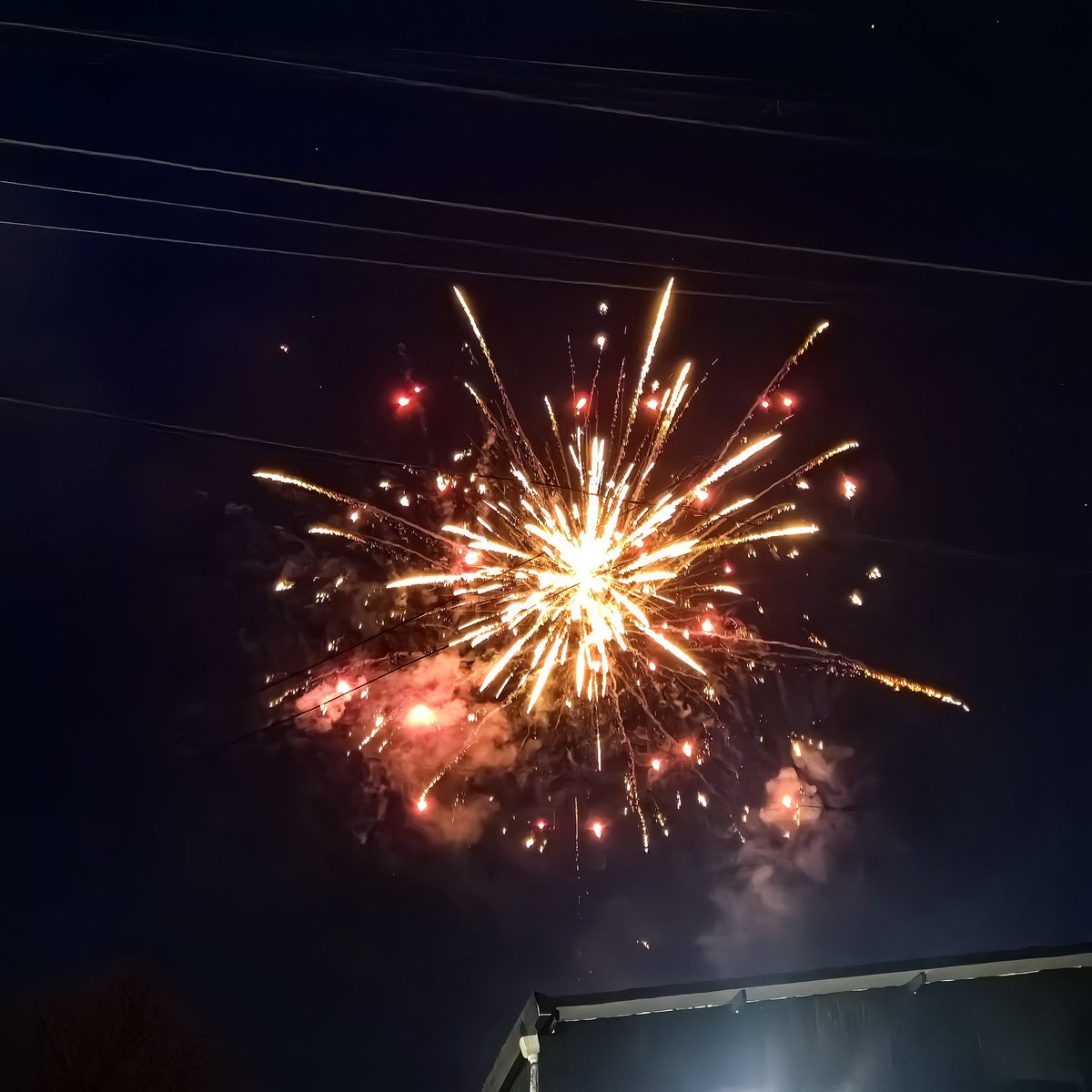 Tiger_undici's tweet photo. 一切都变了一切好像又没变，新年好！ https://t.co/DndPGHuisj