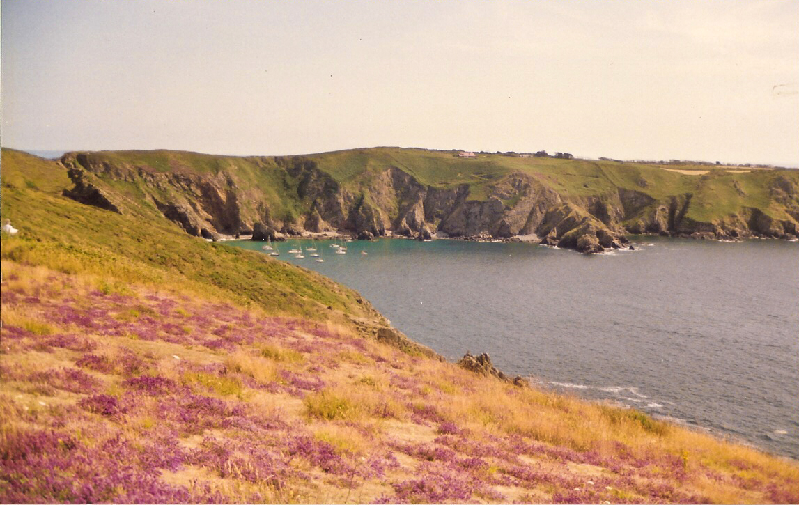 Guernsey Nature Commission tweet media