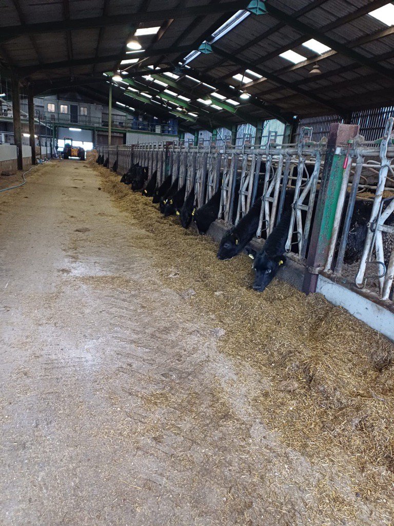 Gamechanger Farming tweet media