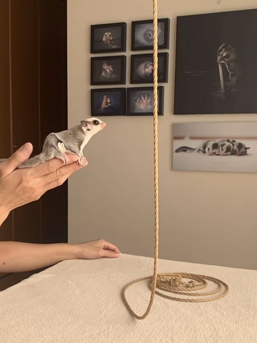 ちゃむ (@N8l7OTwweOmpuUA) / Posts / X