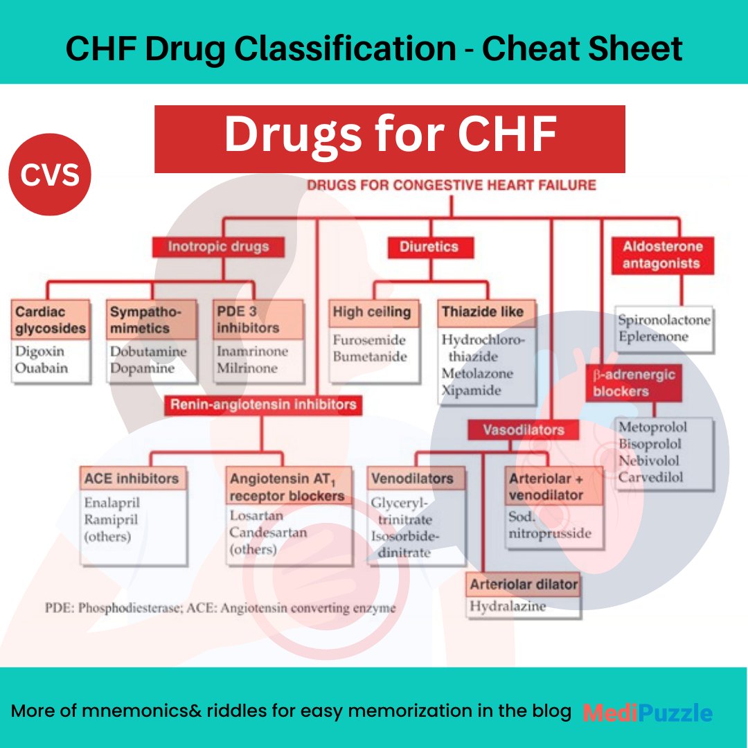 Time for Congestive Heart Failure (CHF) Drugs Classification, hope it helps...
Learn pharmacology while playing games at medipuzzle.com

#medicine #pharmacology #drugstwt #pharmacist #doctor #nurse #MedEd #match2025 #USMLE  #MedTwitter #Dentist #Medical #nepalnursingday