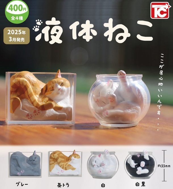 gachaxpompom's tweet photo. 『液体ねこ』3月発売予定。
ここが居心地いいんです… 
https://t.co/7CT8wVtEAq https://t.co/OYzOWkPkUV