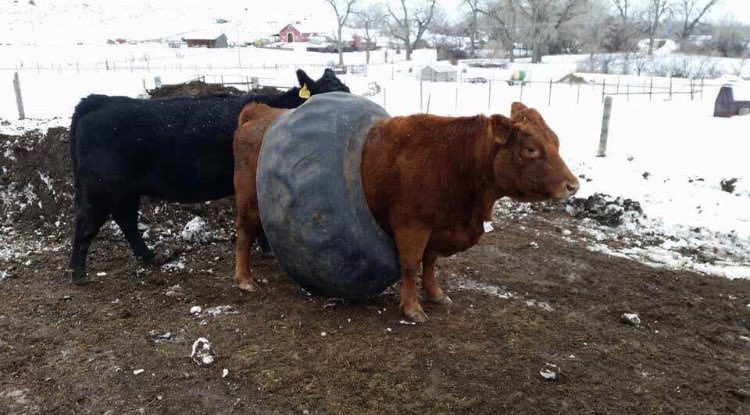 Mistakes have been made.