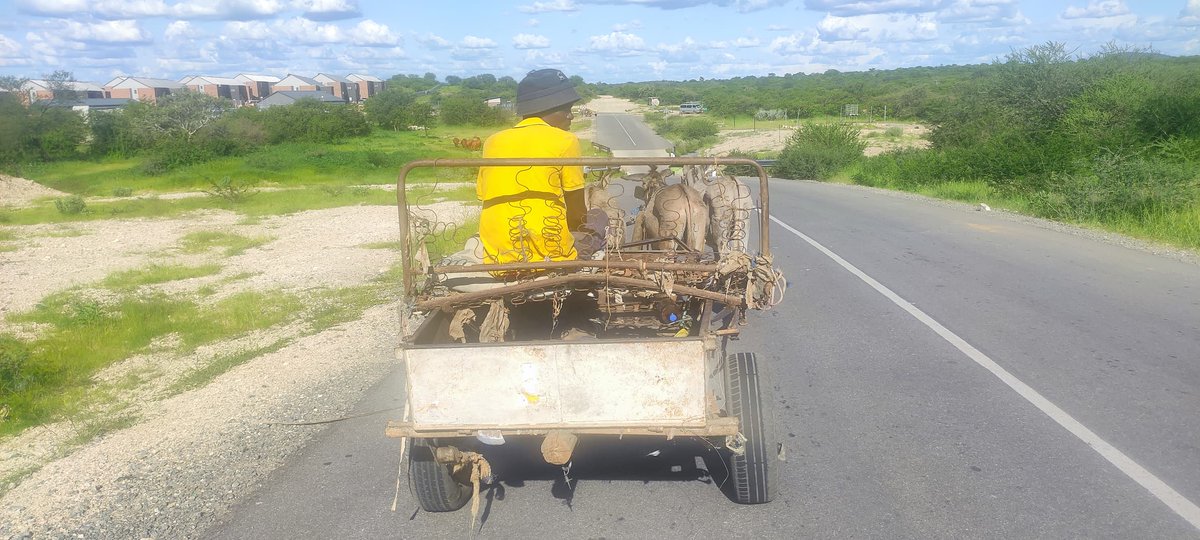 The Environmentalist tweet media