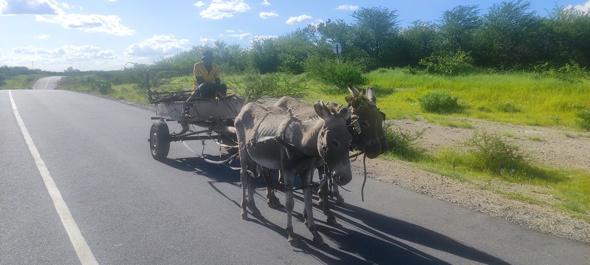 The Environmentalist tweet media