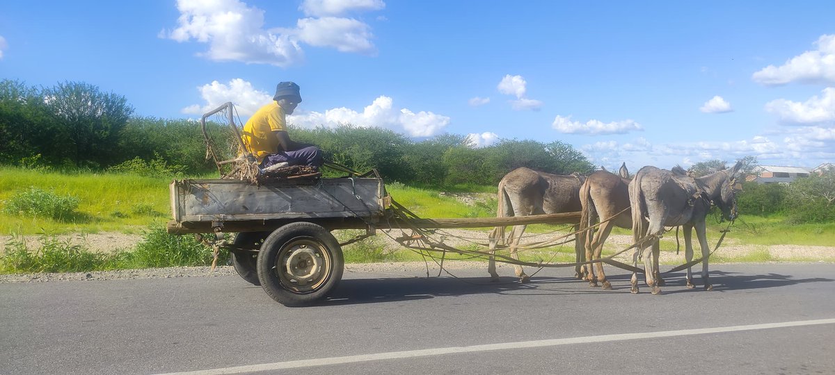 The Environmentalist tweet media