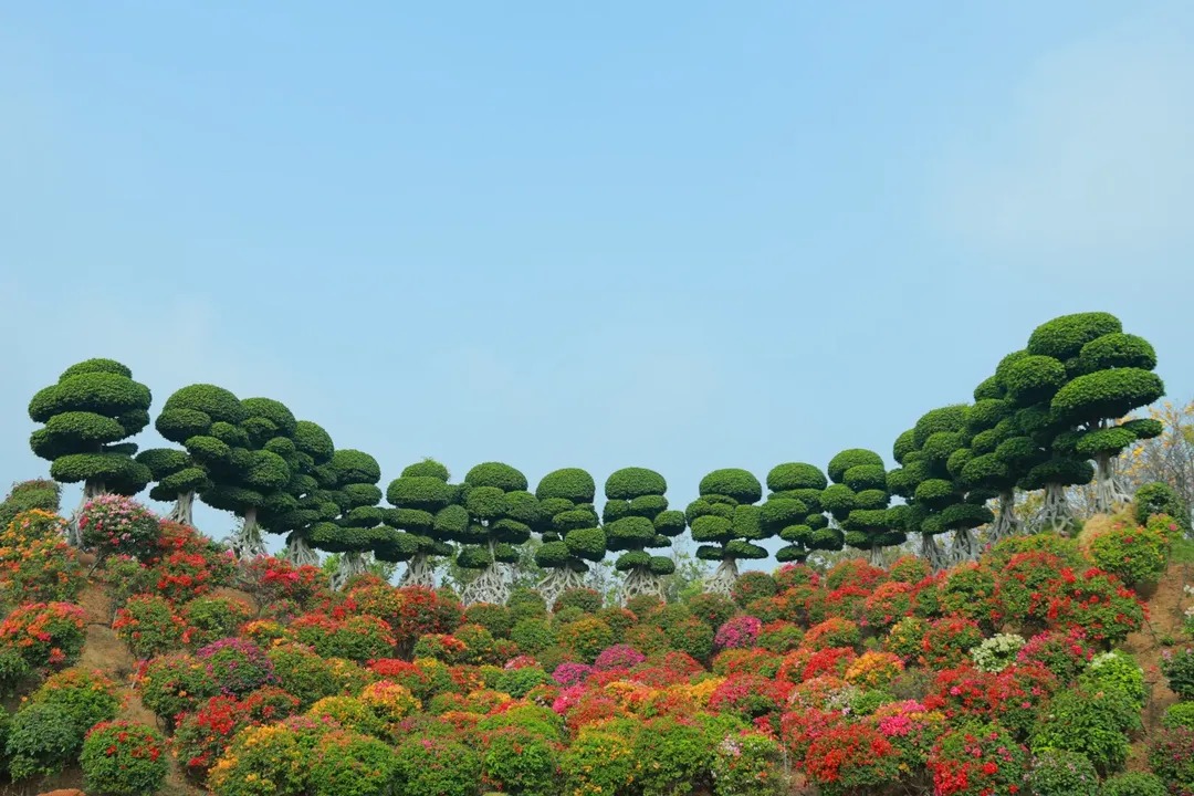 HiHyderabad's tweet image. #EXPERIUM 
A first-of-its-kind Eco Recreational Park inaugurated today in #Hyderabad. This newest tourist attraction is located at Proddatur Village, Near Pragati Resorts, Chilkur, Hyderabad. A must visit place for nature lovers. 

This 150-acre immersive park blends nature, art,…