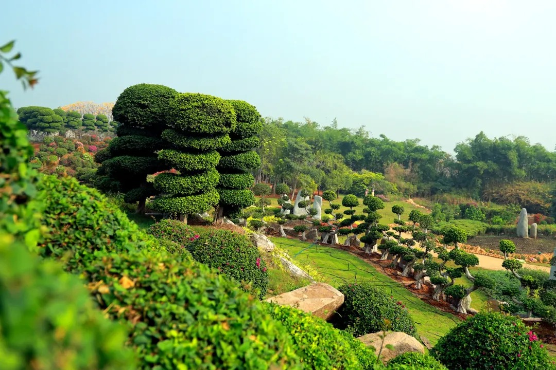 HiHyderabad's tweet image. #EXPERIUM 
A first-of-its-kind Eco Recreational Park inaugurated today in #Hyderabad. This newest tourist attraction is located at Proddatur Village, Near Pragati Resorts, Chilkur, Hyderabad. A must visit place for nature lovers. 

This 150-acre immersive park blends nature, art,…