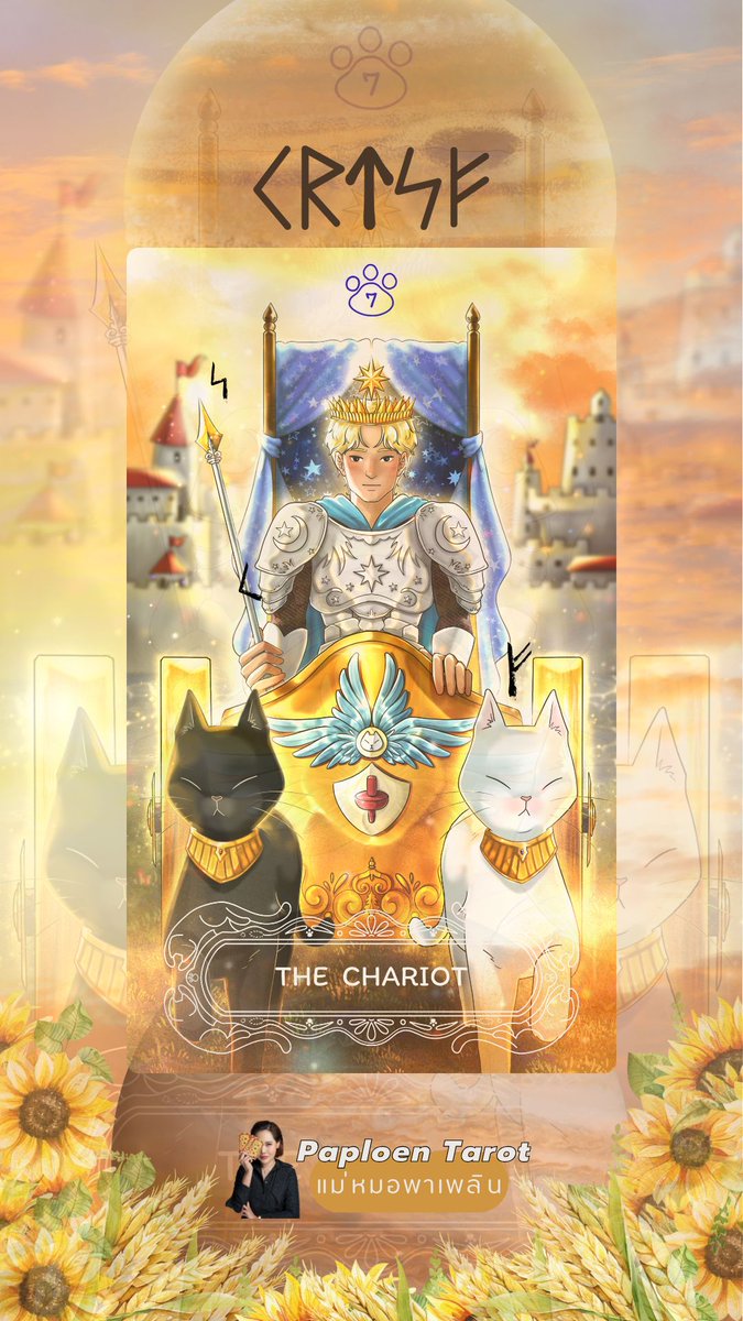Paploen Tarot tweet media