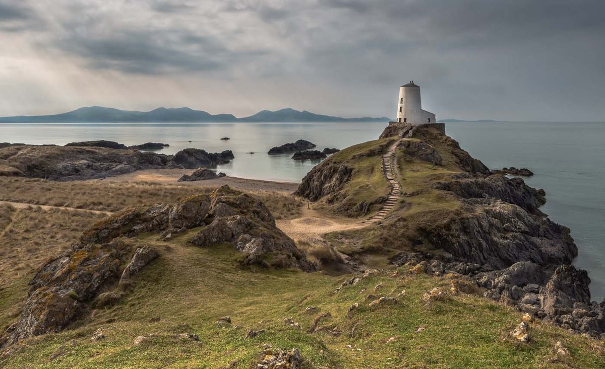 Giovy Malfiori tweet media