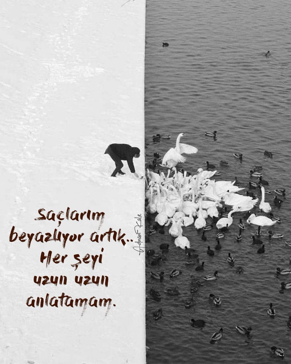Acz_Mavera's tweet photo. https://t.co/JQYmi0wlxm