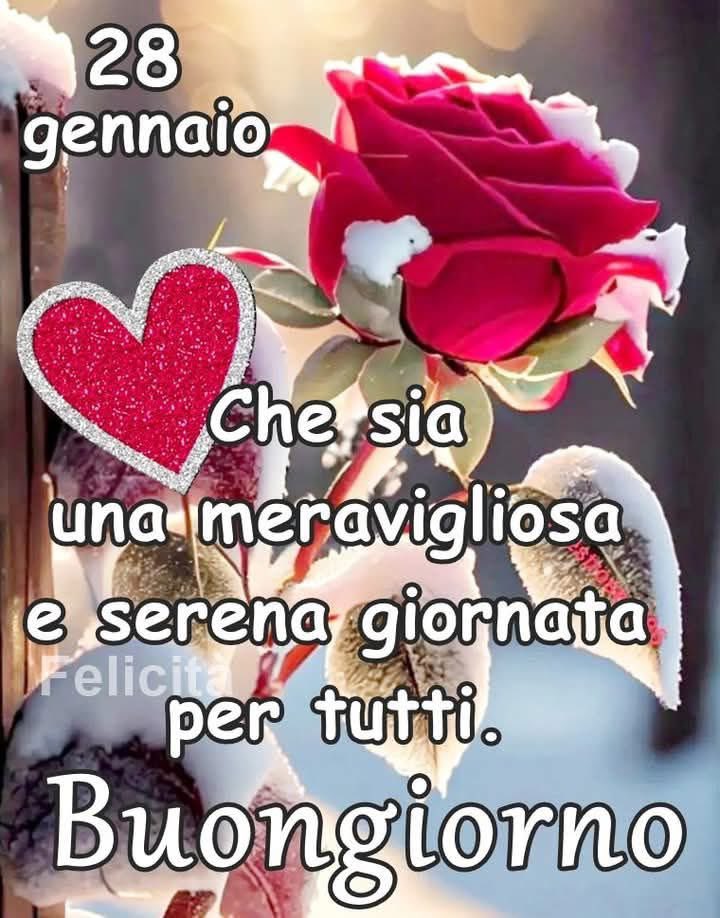 RITABIANCHi56 tweet media