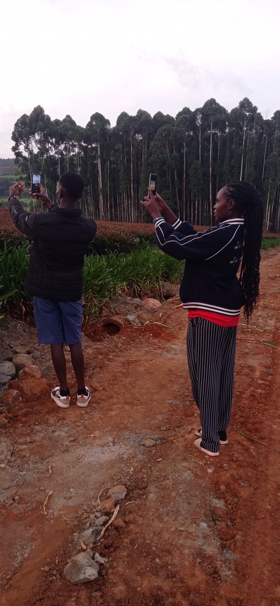 CrazyKenya1's tweet photo. Some nature walk in the Greens. https://t.co/BBgQL2M9kd