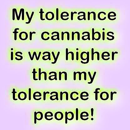 weedloversstore's tweet photo. An Open Invite From One Pot-Head To The Other #Aziishe!!!
❤️🍃🔥
#TheNewKOOL #ItsNotJustABrandItsAMovement https://t.co/inniVtMtsg