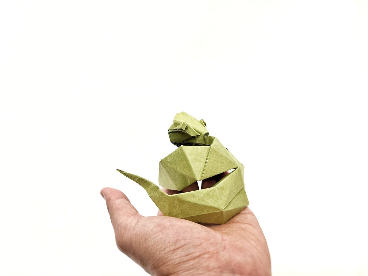 嘶嘶如意，新年快樂！

Serpent 
Designed by <a href="/FernandoChuraH1/">Fernando Chura Huanca</a> 
Folded by me
30×30cm